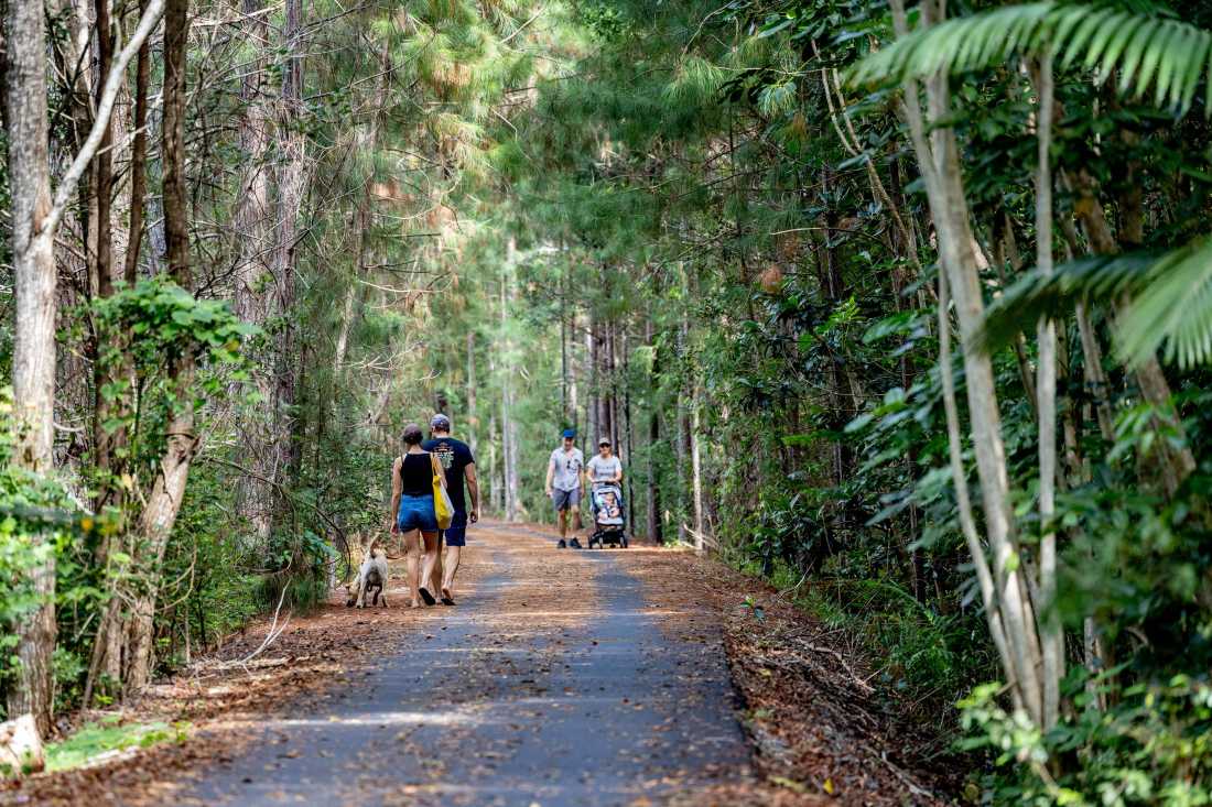 Discover the Tweed and the Northern Rivers Rail Trail