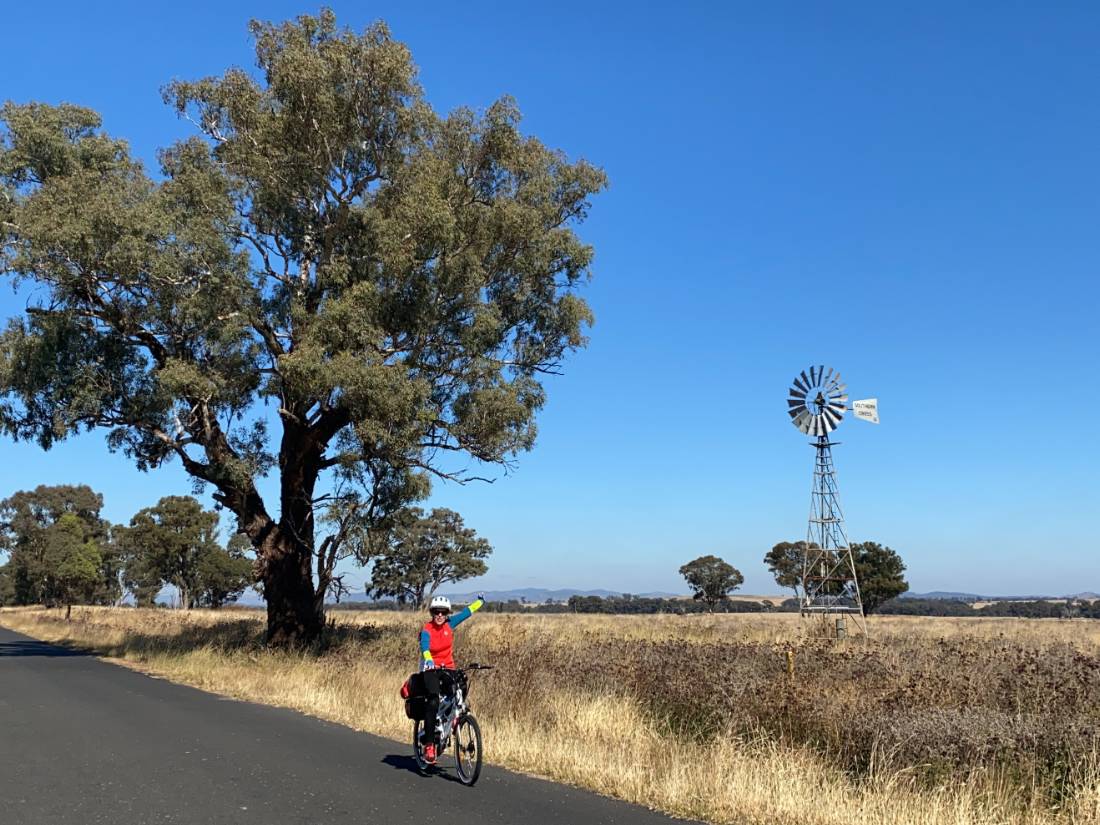 Cyclist with Windmill on route between Gulgong and Dunedoo |  <i>Michele Eckersley</i>