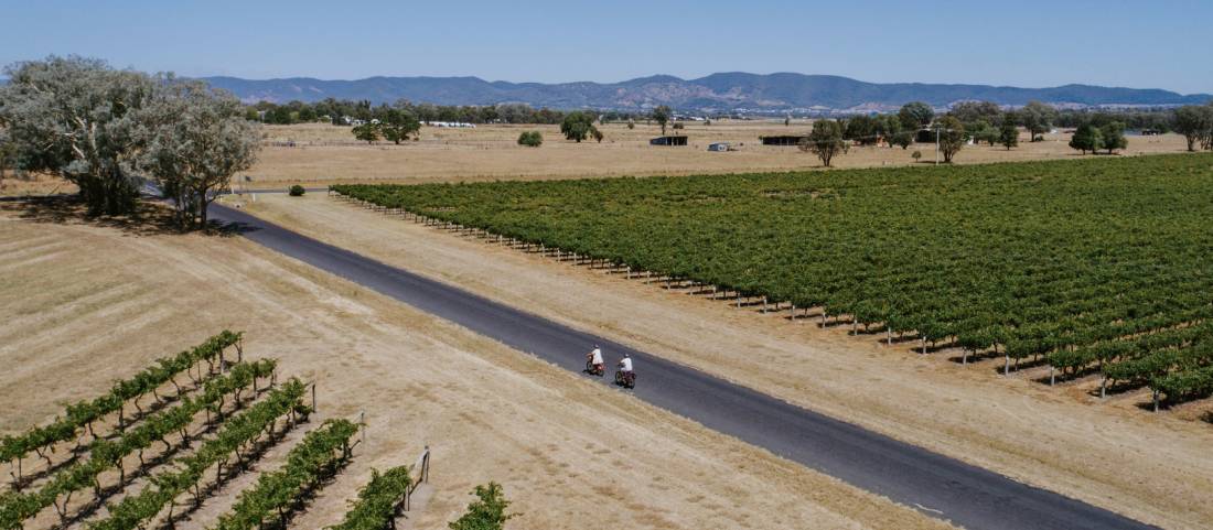Cycling around Mudgee's vineyards on a bike tour