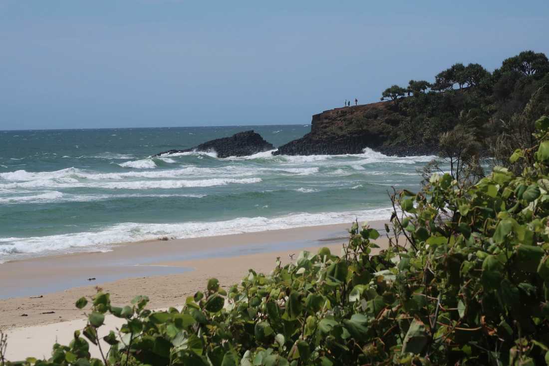 Cycle to Fingal Head for a swim and walk around the headland |  Erin Wileman