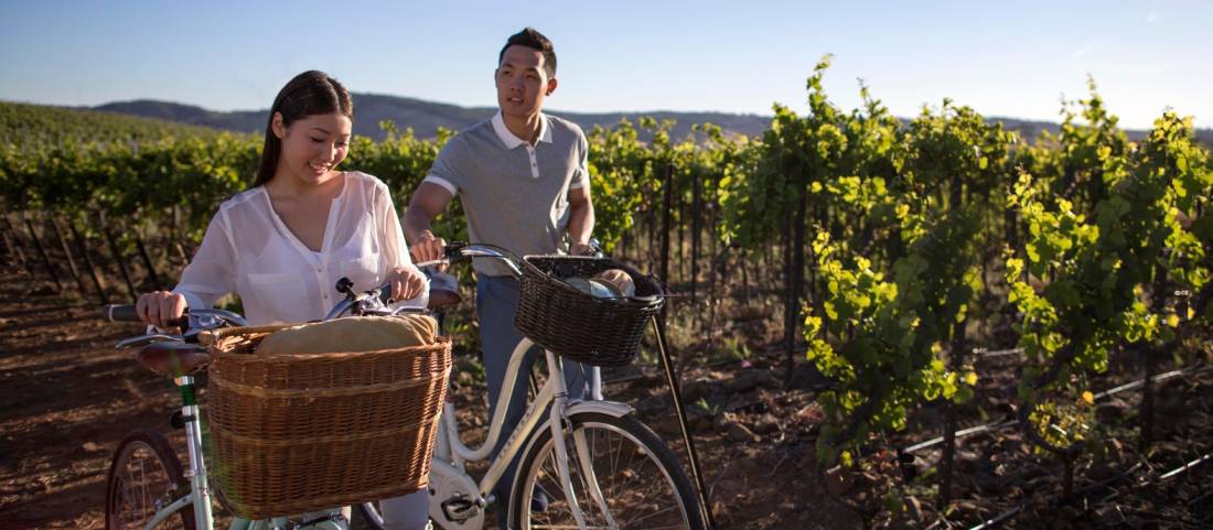 Discover Australia's premier wine region in South Australia |  <i>Adrian Brown</i>