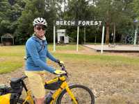 You can take a detour and cycle on the Beech Forest Rail Trail |  Kate Baker