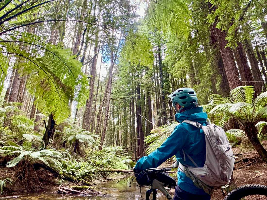 Cycling the Great Ocean Road |  Tracey Croke