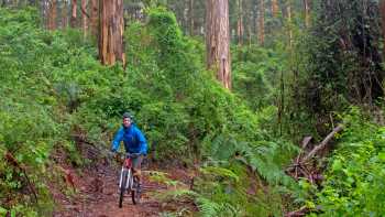 Munda Biddi Trail,Andrew Bain Munda Biddi Trail